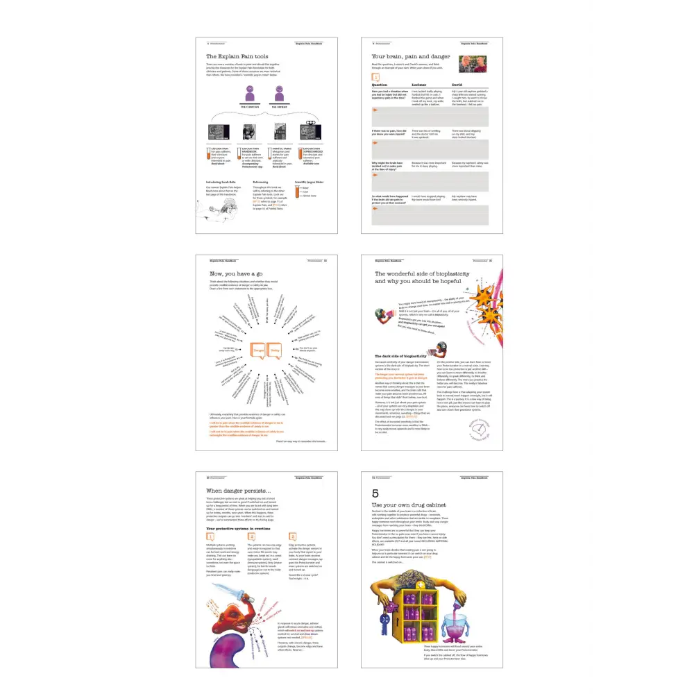 The Explain Pain Handbook: Protectometer - Librairie